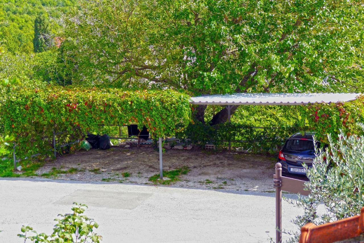 Villa Martinovic Dubrownik Zewnętrze zdjęcie
